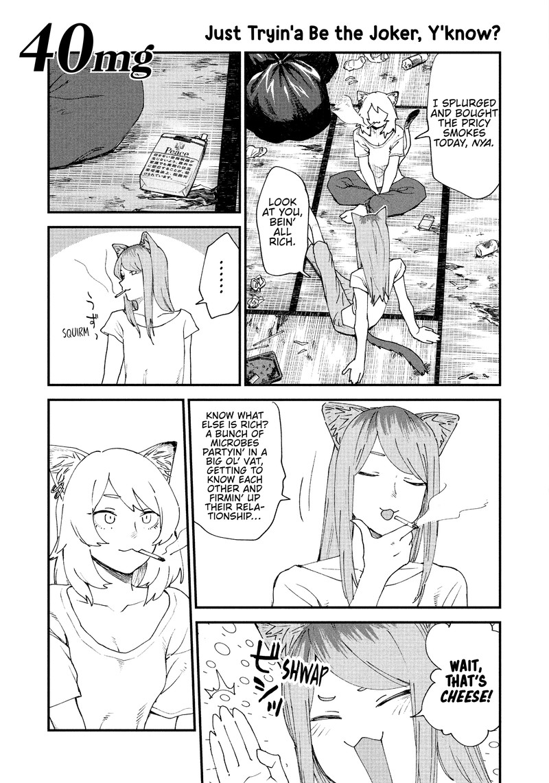 Yani Neko Chapter 40 Page 1