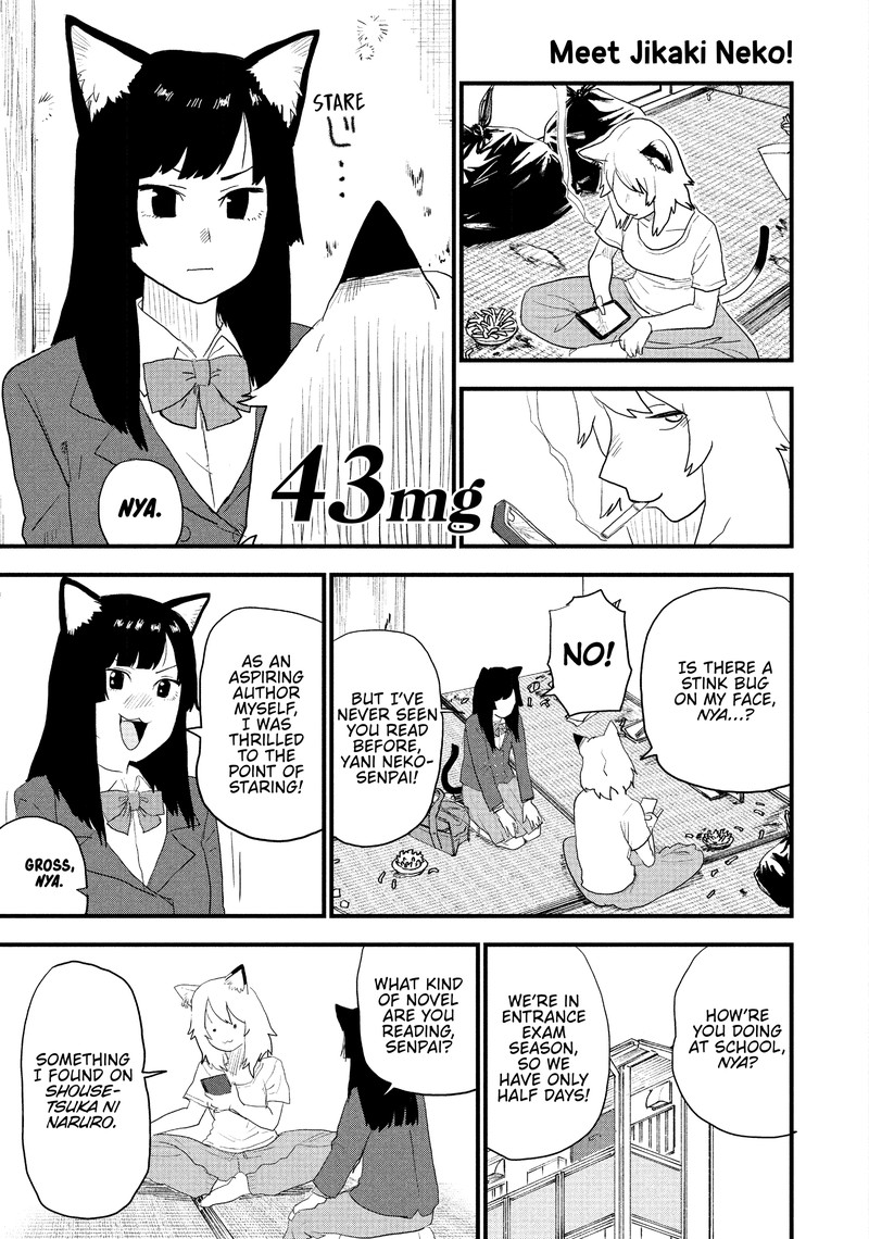 Yani Neko Chapter 43 Page 1