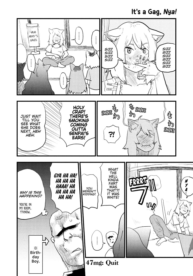 Yani Neko Chapter 47 Page 4