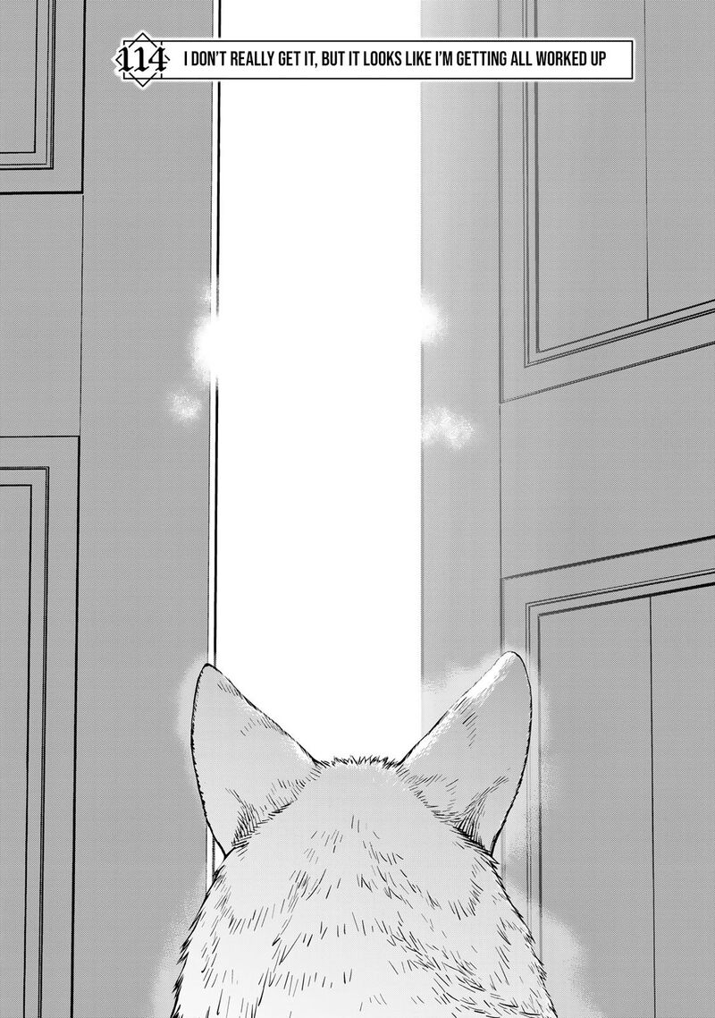 Yoku Wakaranai Keredo Isekai Ni Tensei Shiteita You Desu Chapter 114 Page 4