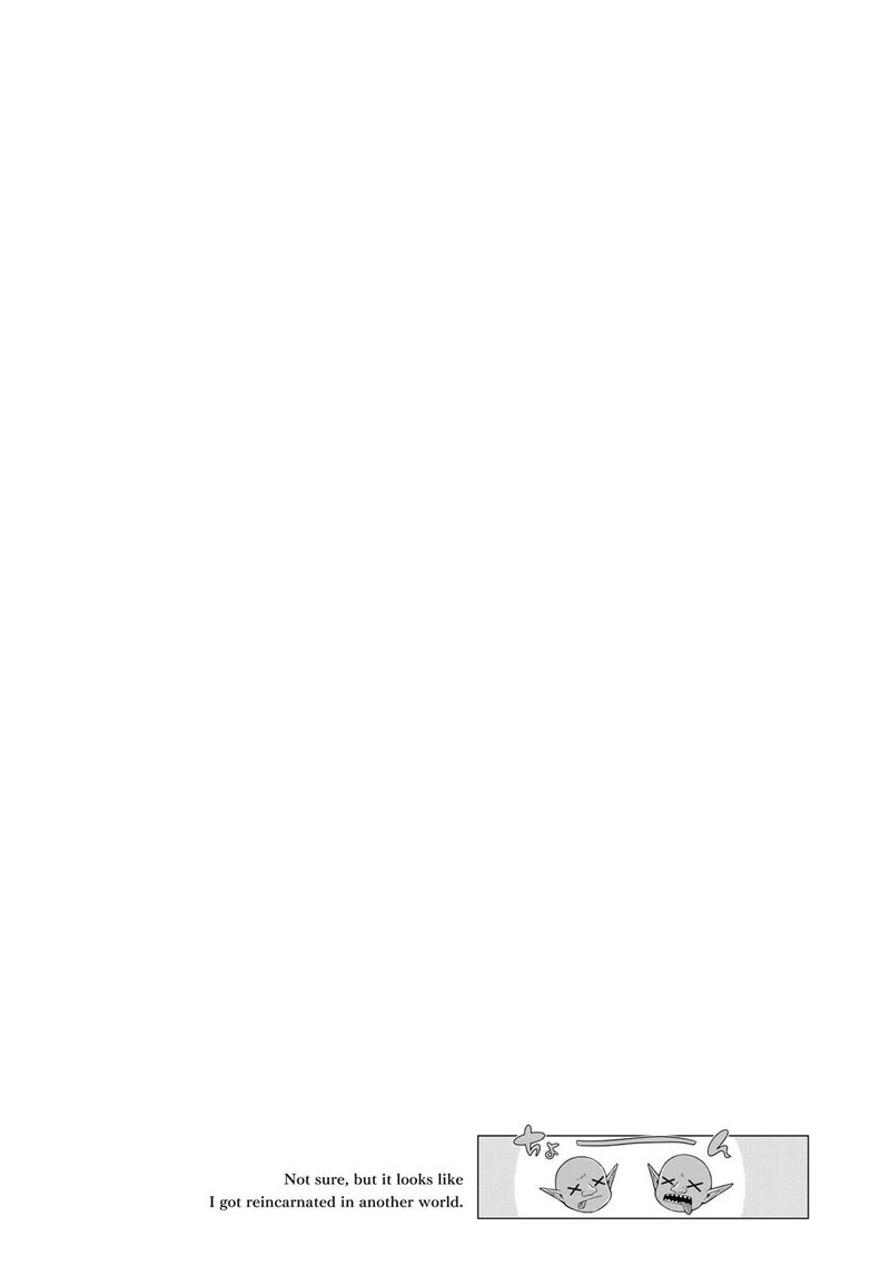 Yoku Wakaranai Keredo Isekai Ni Tensei Shiteita You Desu Chapter 115 Page 33